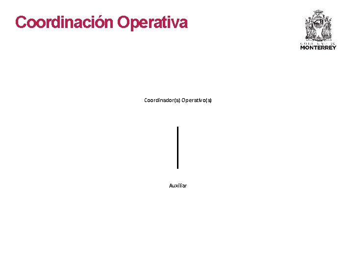 Coordinación Operativa Coordinador(a) Operativo(a) Auxiliar Coordinación Operativa Coordinador(a) Operativo(a) Auxiliar