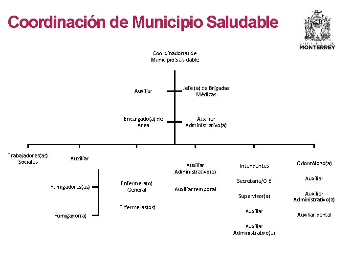 Coordinación de Municipio Saludable Coordinador(a) de Municipio Saludable Trabajadores(as) Sociales Auxiliar Jefe (a) de Coordinación de Municipio Saludable Coordinador(a) de Municipio Saludable Trabajadores(as) Sociales Auxiliar Jefe (a) de