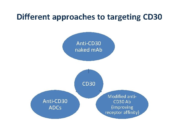 Different approaches to targeting CD 30 Anti-CD 30 naked m. Ab CD 30 Anti-CD