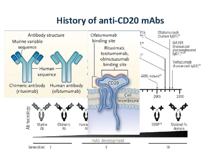 History of anti-CD 20 m. Abs 