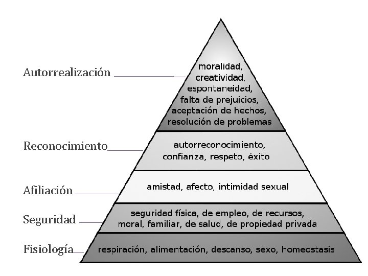 Autorrealización Reconocimiento Afiliación Seguridad Fisiología 