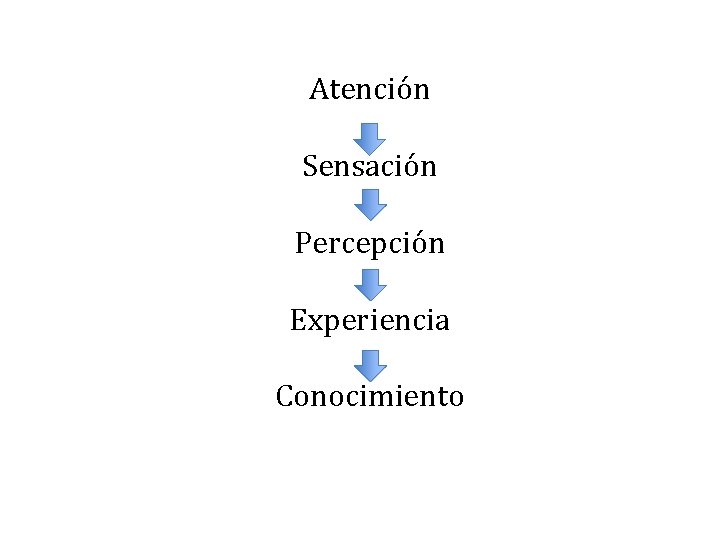 Atención Sensación Percepción Experiencia Conocimiento 