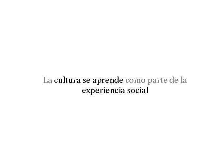La cultura se aprende como parte de la experiencia social 