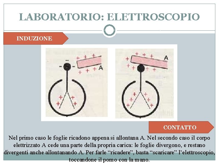 LABORATORIO: ELETTROSCOPIO INDUZIONE CONTATTO Nel primo caso le foglie ricadono appena si allontana A.