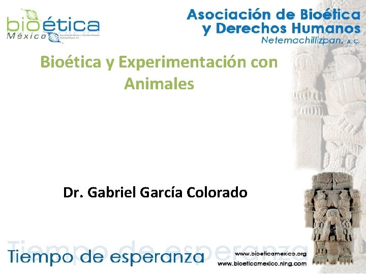 Bioética y Experimentación con Animales Dr. Gabriel García Colorado 
