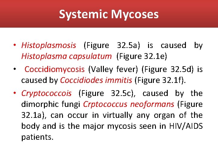 Systemic Mycoses • Histoplasmosis (Figure 32. 5 a) is caused by Histoplasma capsulatum (Figure