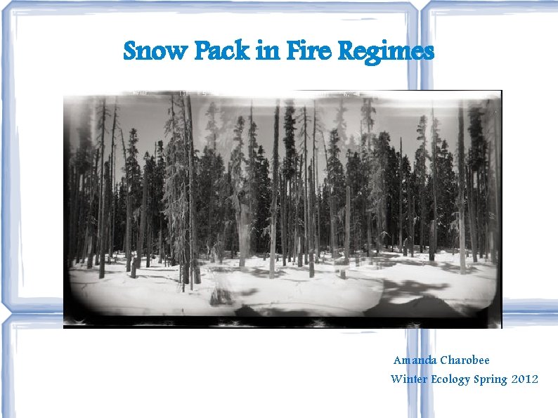 Snow Pack in Fire Regimes Amanda Charobee Winter Ecology Spring 2012 