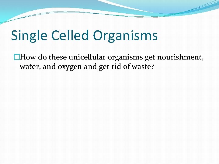 Single Celled Organisms �How do these unicellular organisms get nourishment, water, and oxygen and