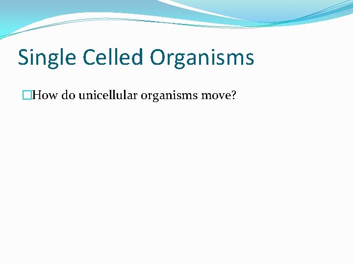 Single Celled Organisms �How do unicellular organisms move? 