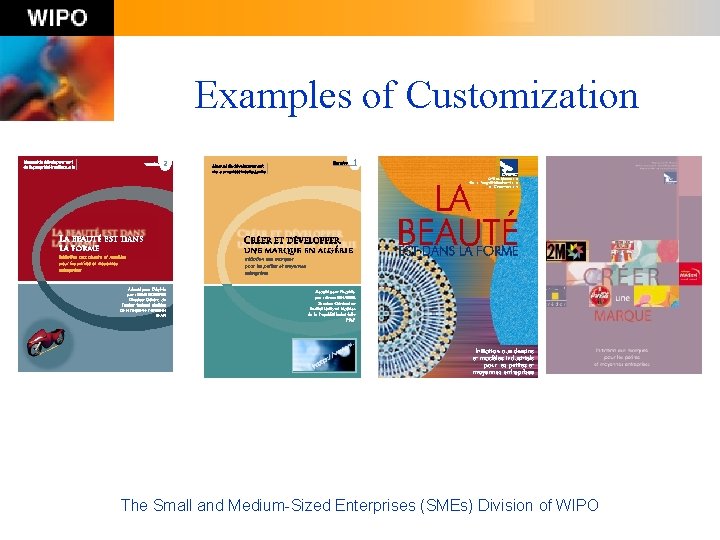 Examples of Customization The Small and Medium-Sized Enterprises (SMEs) Division of WIPO 