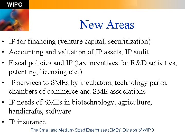 New Areas • IP for financing (venture capital, securitization) • Accounting and valuation of