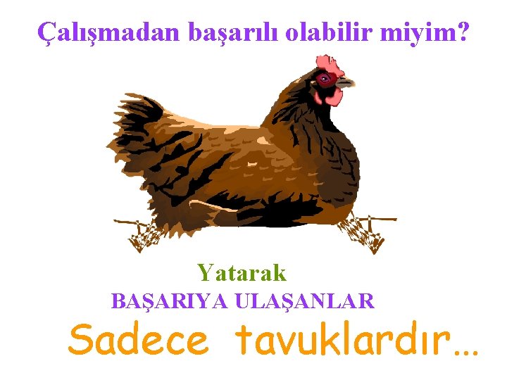 Çalışmadan başarılı olabilir miyim? Yatarak BAŞARIYA ULAŞANLAR Sadece tavuklardır… 