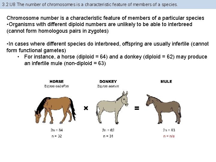 3. 2. U 8 The number of chromosomes is a characteristic feature of members