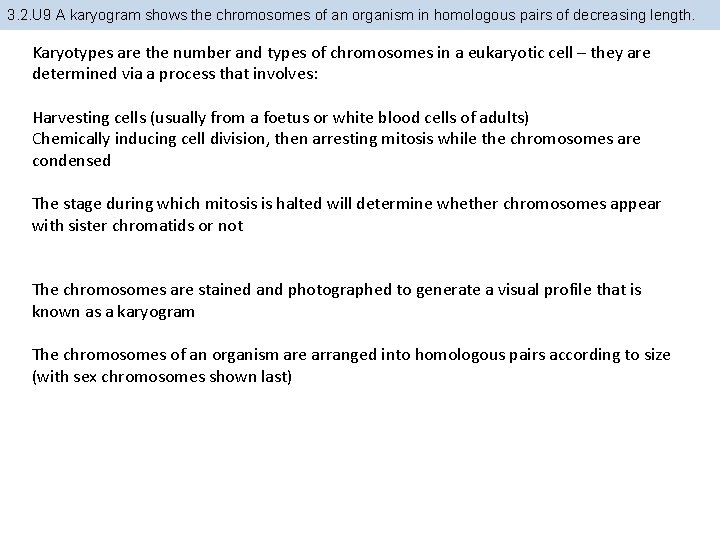 3. 2. U 9 A karyogram shows the chromosomes of an organism in homologous