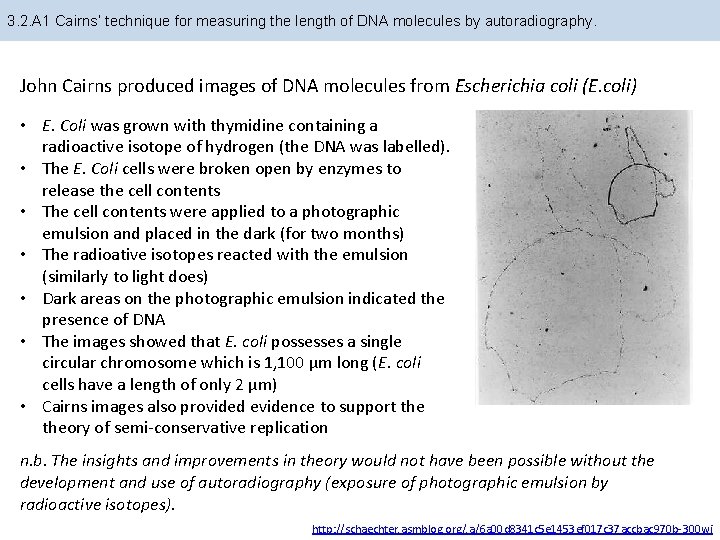 3. 2. A 1 Cairns’ technique for measuring the length of DNA molecules by