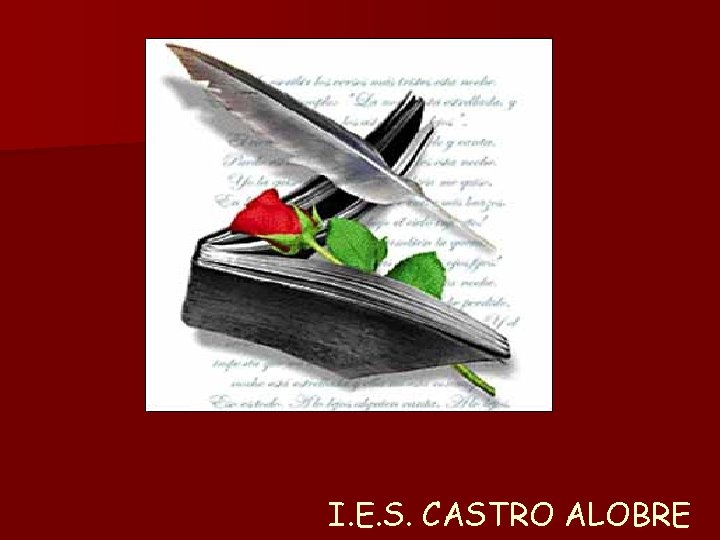 I. E. S. CASTRO ALOBRE 