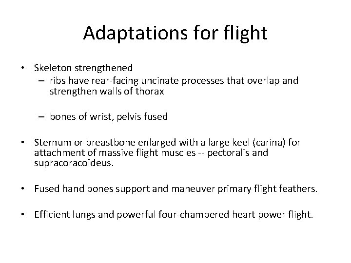 Adaptations for flight • Skeleton strengthened – ribs have rear-facing uncinate processes that overlap