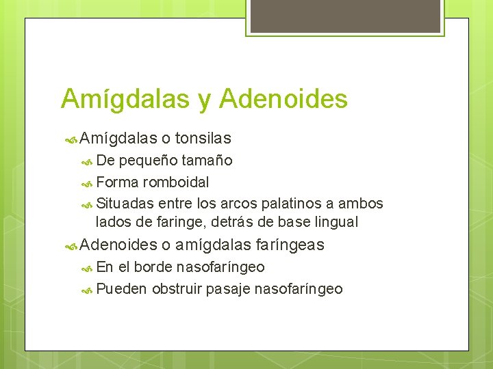 Amígdalas y Adenoides Amígdalas o tonsilas De pequeño tamaño Forma romboidal Situadas entre los Amígdalas y Adenoides Amígdalas o tonsilas De pequeño tamaño Forma romboidal Situadas entre los