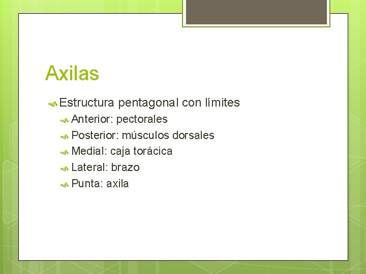 Axilas Estructura Anterior: pentagonal con límites pectorales Posterior: músculos dorsales Medial: caja torácica Lateral: Axilas Estructura Anterior: pentagonal con límites pectorales Posterior: músculos dorsales Medial: caja torácica Lateral: