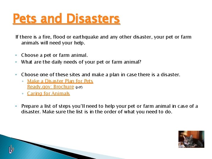 Pets and Disasters If there is a fire, flood or earthquake and any other