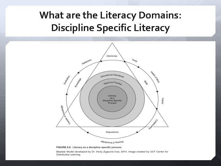 What are the Literacy Domains: Discipline Specific Literacy 