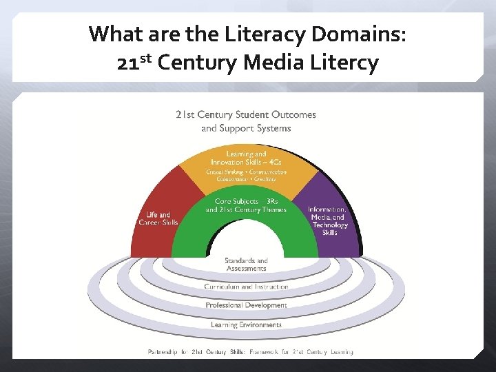 What are the Literacy Domains: 21 st Century Media Litercy 
