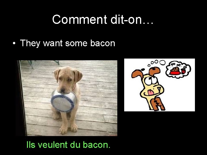 Comment dit-on… • They want some bacon Ils veulent du bacon. 