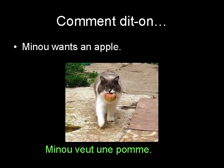 Comment dit-on… • Minou wants an apple. Minou veut une pomme. 