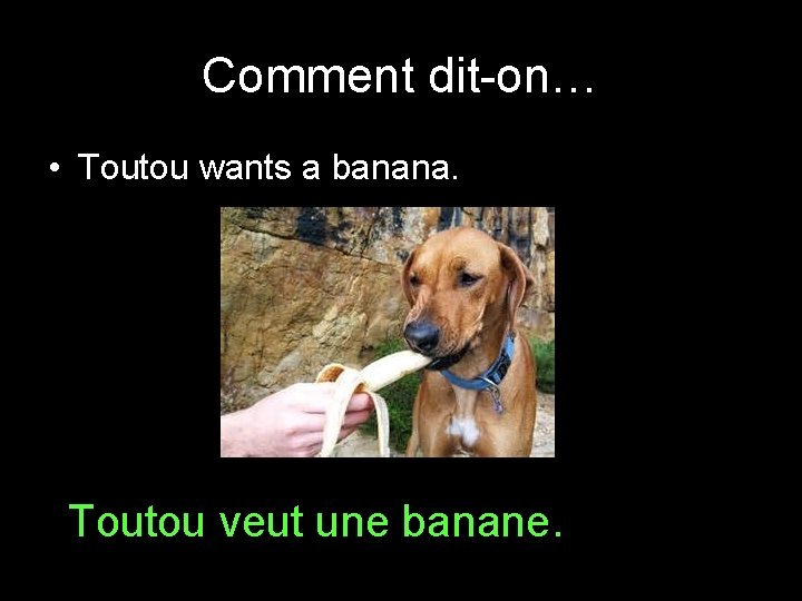 Comment dit-on… • Toutou wants a banana. Toutou veut une banane. 