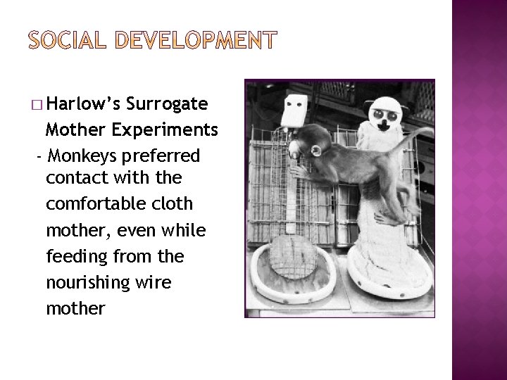 � Harlow’s Surrogate Mother Experiments - Monkeys preferred contact with the comfortable cloth mother,