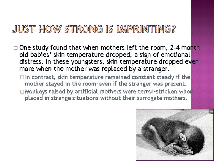 JUST HOW STRONG IS IMPRINTING? � One study found that when mothers left the