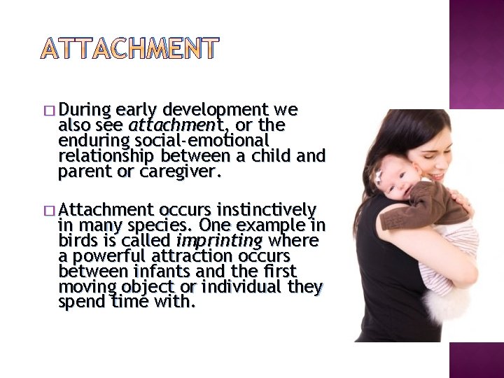 ATTACHMENT � During early development we also see attachment, or the enduring social-emotional relationship