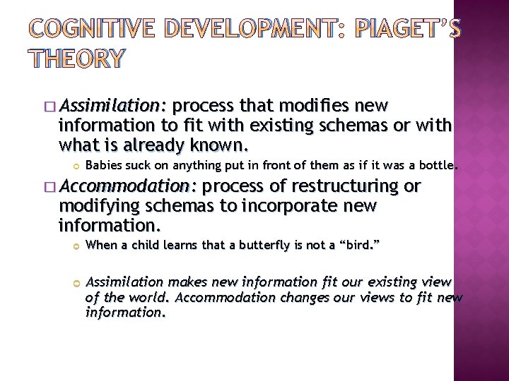 COGNITIVE DEVELOPMENT: PIAGET’S THEORY � Assimilation: process that modifies new information to fit with