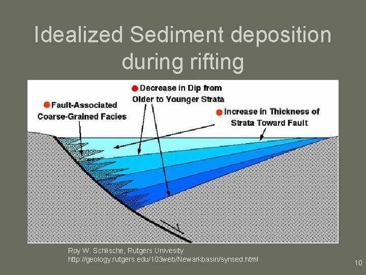 Idealized Sediment deposition during rifting Roy W. Schlische, Rutgers Univesity http: //geology. rutgers. edu/103