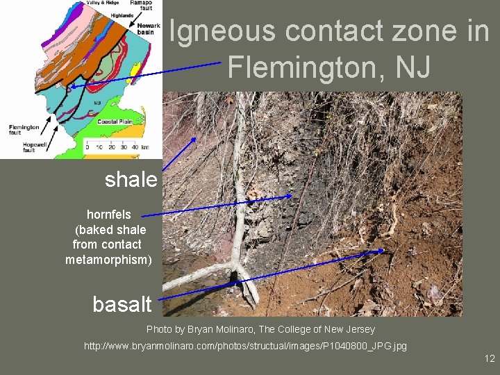 Igneous contact zone in Flemington, NJ shale hornfels (baked shale from contact metamorphism) basalt