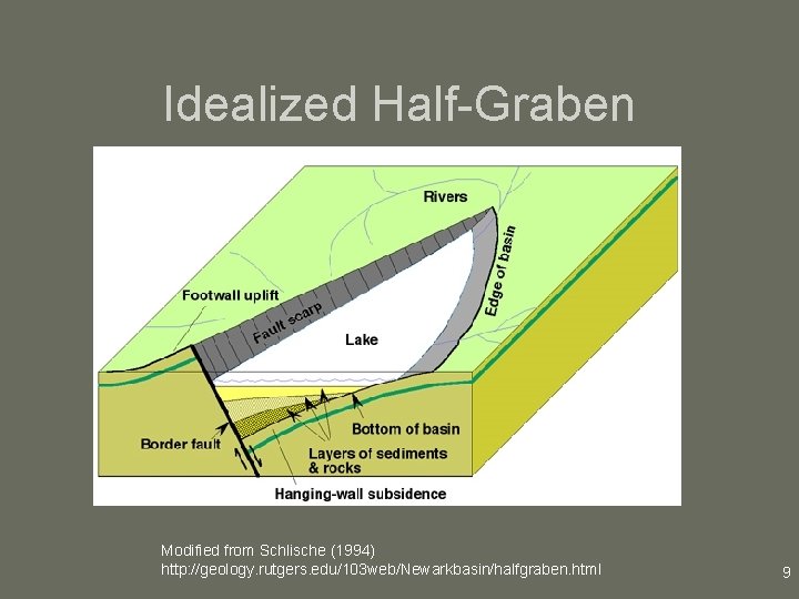 Idealized Half-Graben Modified from Schlische (1994) http: //geology. rutgers. edu/103 web/Newarkbasin/halfgraben. html 9 
