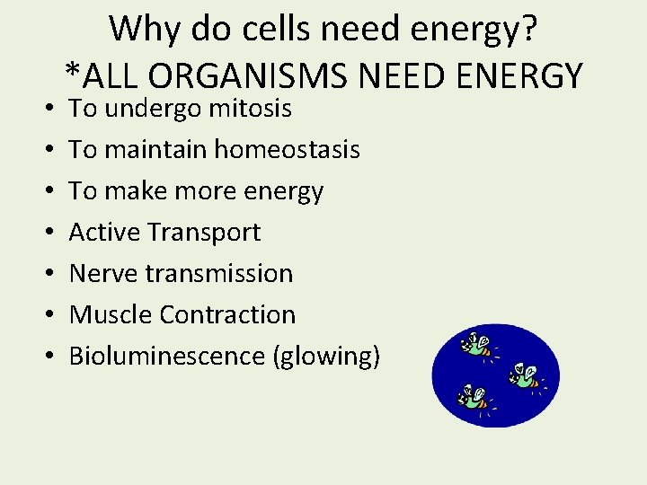  • • Why do cells need energy? *ALL ORGANISMS NEED ENERGY To undergo
