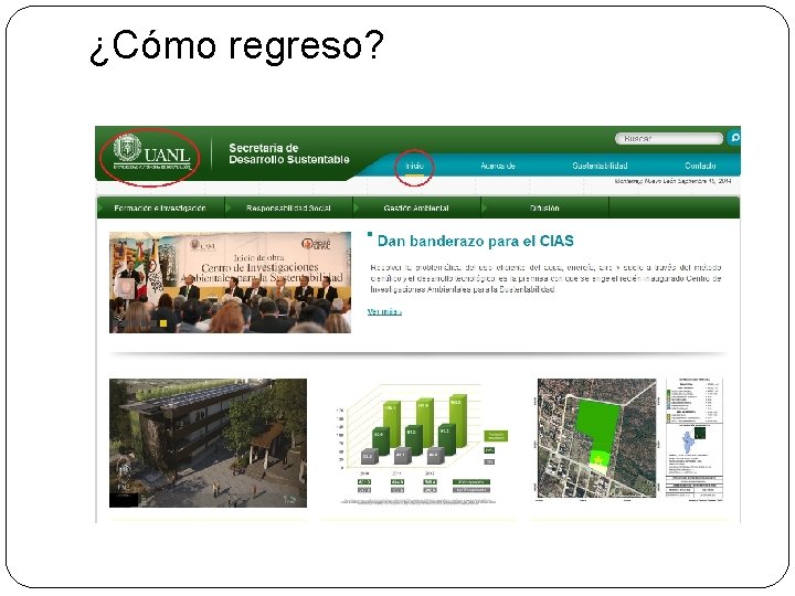 ¿Cómo regreso? ¿Cómo regreso?