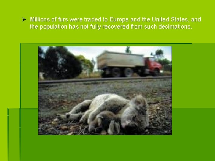 Ø Millions of furs were traded to Europe and the United States, and the Ø Millions of furs were traded to Europe and the United States, and the