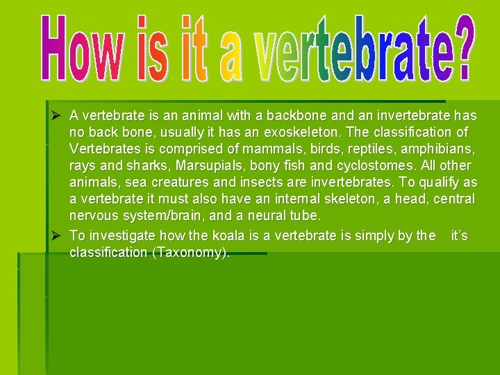 Ø A vertebrate is an animal with a backbone and an invertebrate has no Ø A vertebrate is an animal with a backbone and an invertebrate has no
