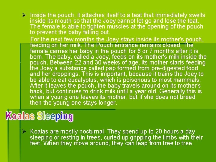 Ø Inside the pouch, it attaches itself to a teat that immediately swells inside Ø Inside the pouch, it attaches itself to a teat that immediately swells inside