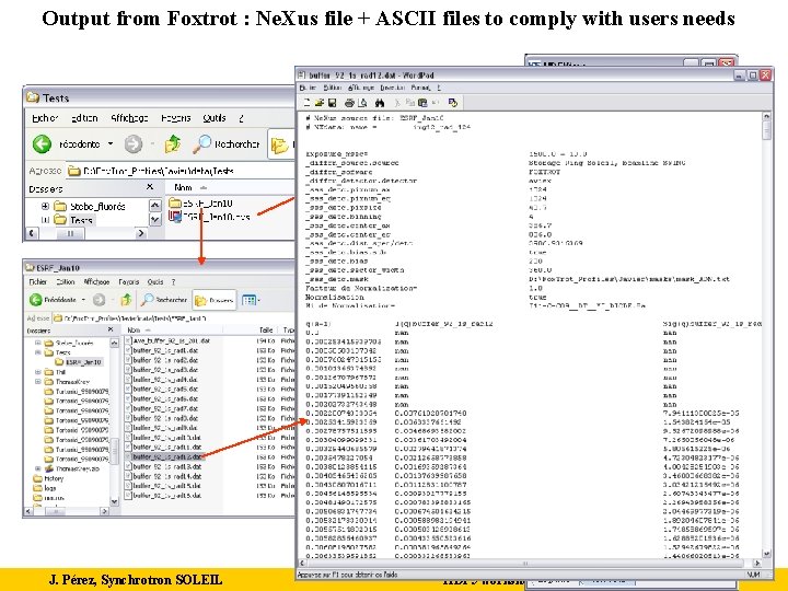 Output from Foxtrot : Ne. Xus file + ASCII files to comply with users