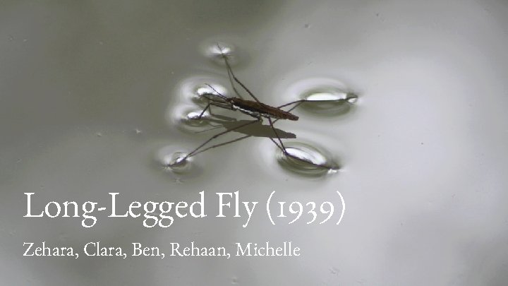 Long-Legged Fly (1939) Zehara, Clara, Ben, Rehaan, Michelle 