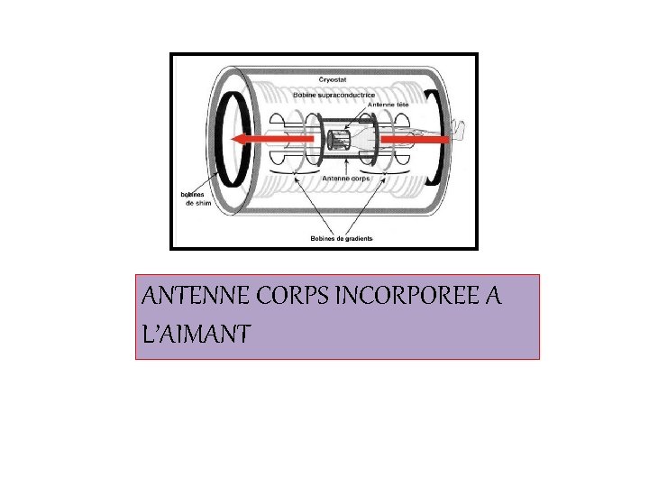 ANTENNE CORPS INCORPOREE A L’AIMANT 