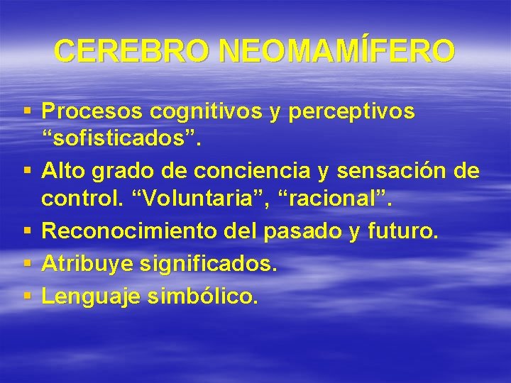 CEREBRO NEOMAMÍFERO § Procesos cognitivos y perceptivos “sofisticados”. § Alto grado de conciencia y