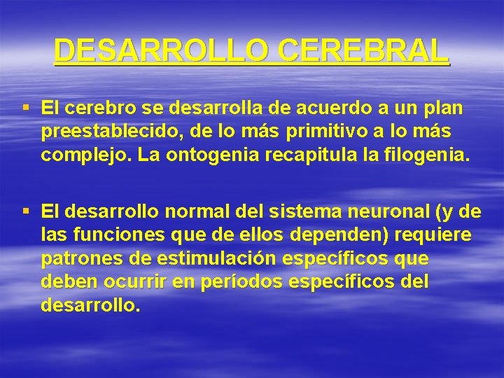 DESARROLLO CEREBRAL § El cerebro se desarrolla de acuerdo a un plan preestablecido, de