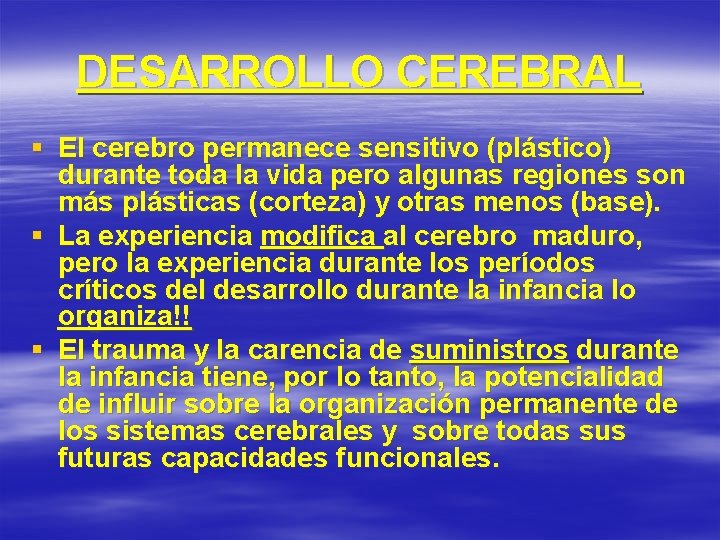 DESARROLLO CEREBRAL § El cerebro permanece sensitivo (plástico) durante toda la vida pero algunas