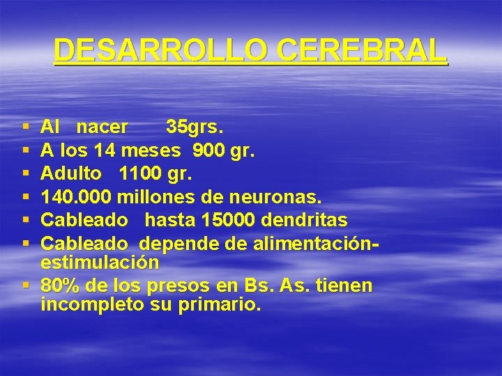 DESARROLLO CEREBRAL § § § Al nacer 35 grs. A los 14 meses 900