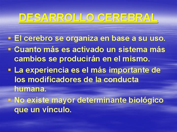 DESARROLLO CEREBRAL § El cerebro se organiza en base a su uso. § Cuanto