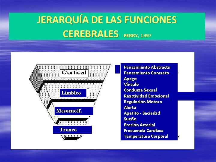 JERARQUÍA DE LAS FUNCIONES CEREBRALES PERRY, 1997 Límbico Mesoencéf. Tronco Pensamiento Abstracto Pensamiento Concreto